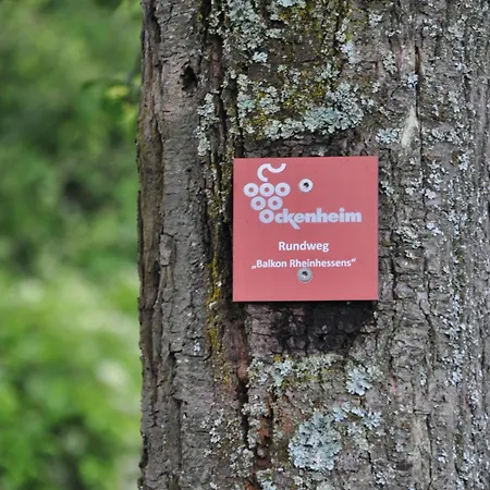 Mit Terrasse Am Jakobsberg 3* Ockenheim