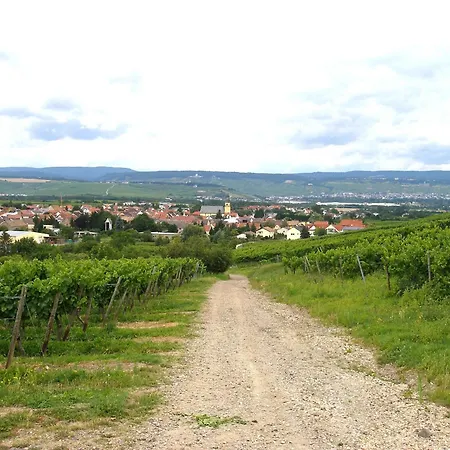 Mit Terrasse Am Jakobsberg בית הארחה Ockenheim