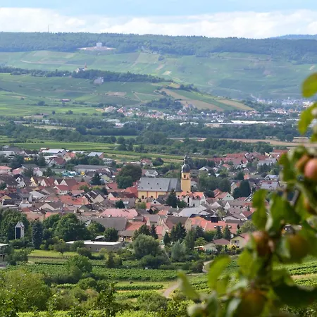 Mit Terrasse Am Jakobsberg 3* 오켄하임
