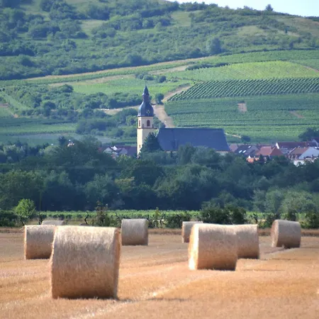 Mit Terrasse Am Jakobsberg בית הארחה