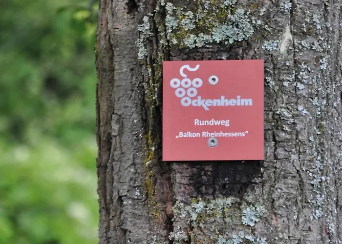 Mit Terrasse Am Jakobsberg 3* Ockenheim