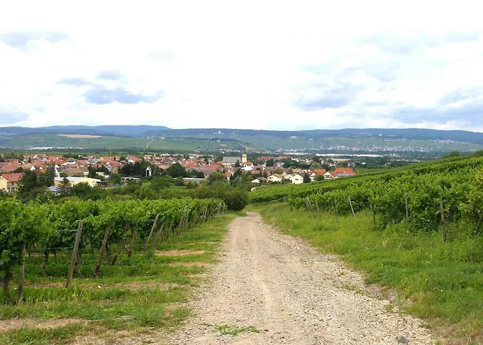 Mit Terrasse Am Jakobsberg בית הארחה Ockenheim
