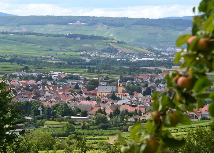 Mit Terrasse Am Jakobsberg 3* 오켄하임