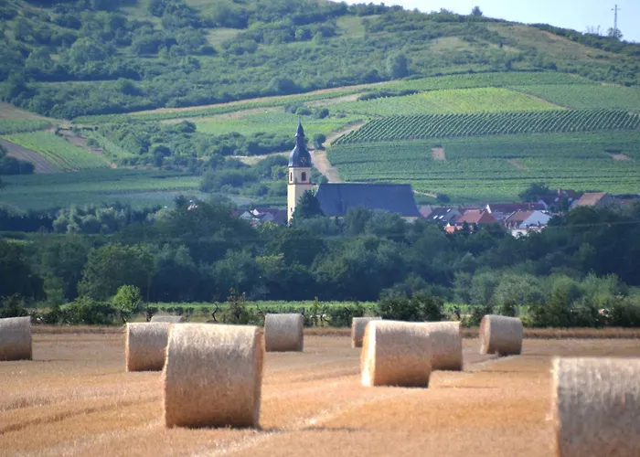Mit Terrasse Am Jakobsberg בית הארחה